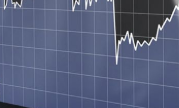 再坚持养个几天就可以在综合里面出现了